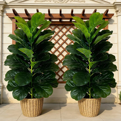 Fiddle Leaf Fig Tree/White Geometric Pot