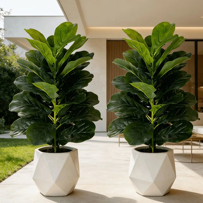 Fiddle Leaf Fig Tree/White Geometric Pot
