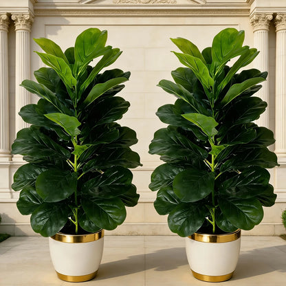 Fiddle Leaf Fig Tree/White Geometric Pot