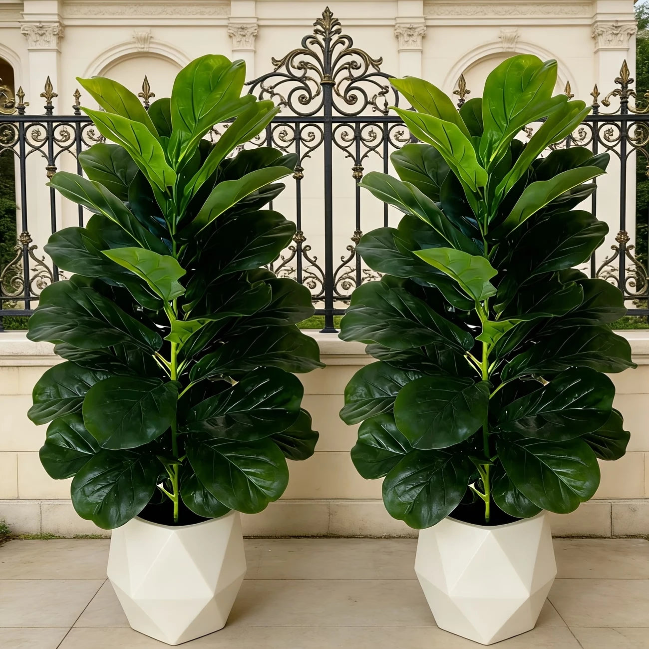 Fiddle Leaf Fig Tree/White Geometric Pot