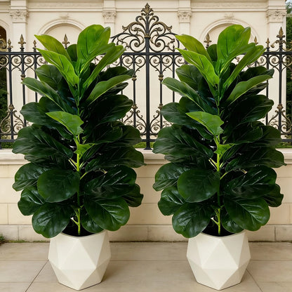 Fiddle Leaf Fig Tree/White Geometric Pot
