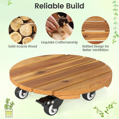 Rolling Plant Stand Set of 2 with Lockable Casters