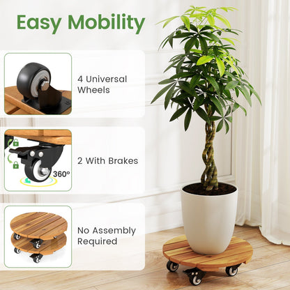 Rolling Plant Stand Set of 2 with Lockable Casters