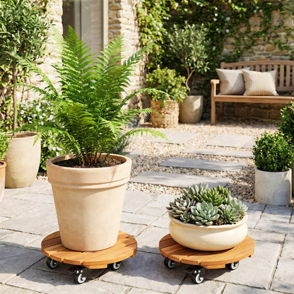 Rolling Plant Stand Set of 2 with Lockable Casters