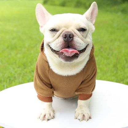 Hoodie Winter Warm Coat Puppy Cat Jacket