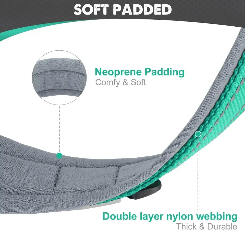 Padded Dog Collars, small Medium large, Reflective