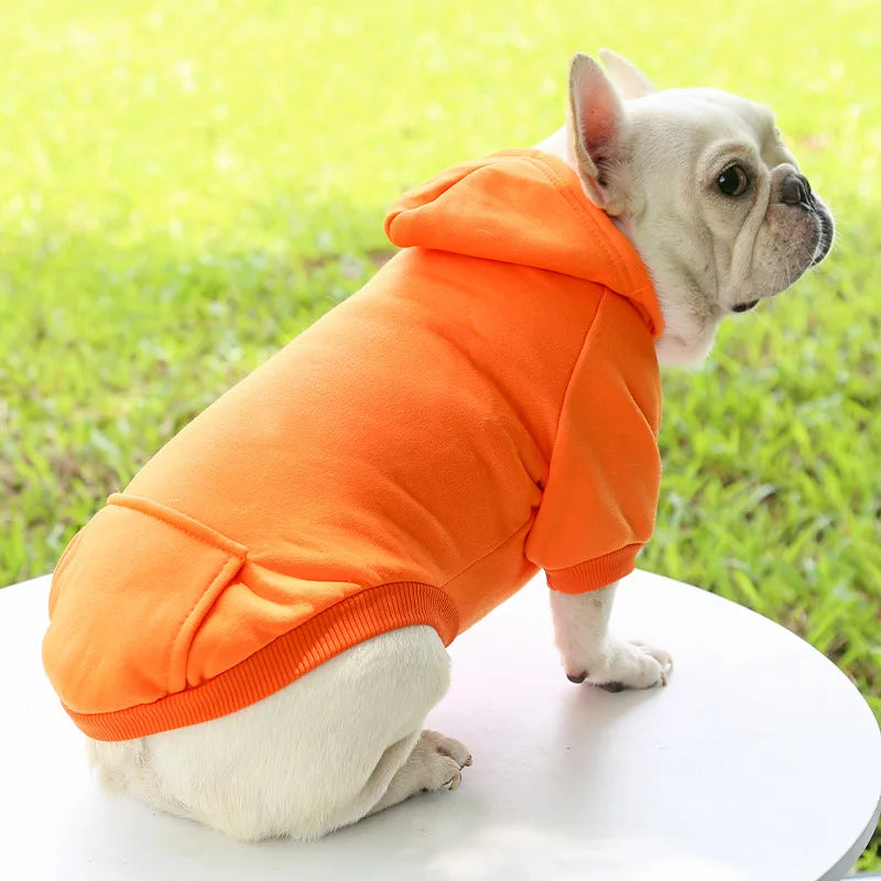 Hoodie Winter Warm Coat Puppy Cat Jacket