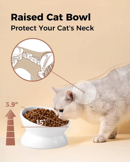 Elevated Cat Bowl, 5 Oz Ceramic Raise