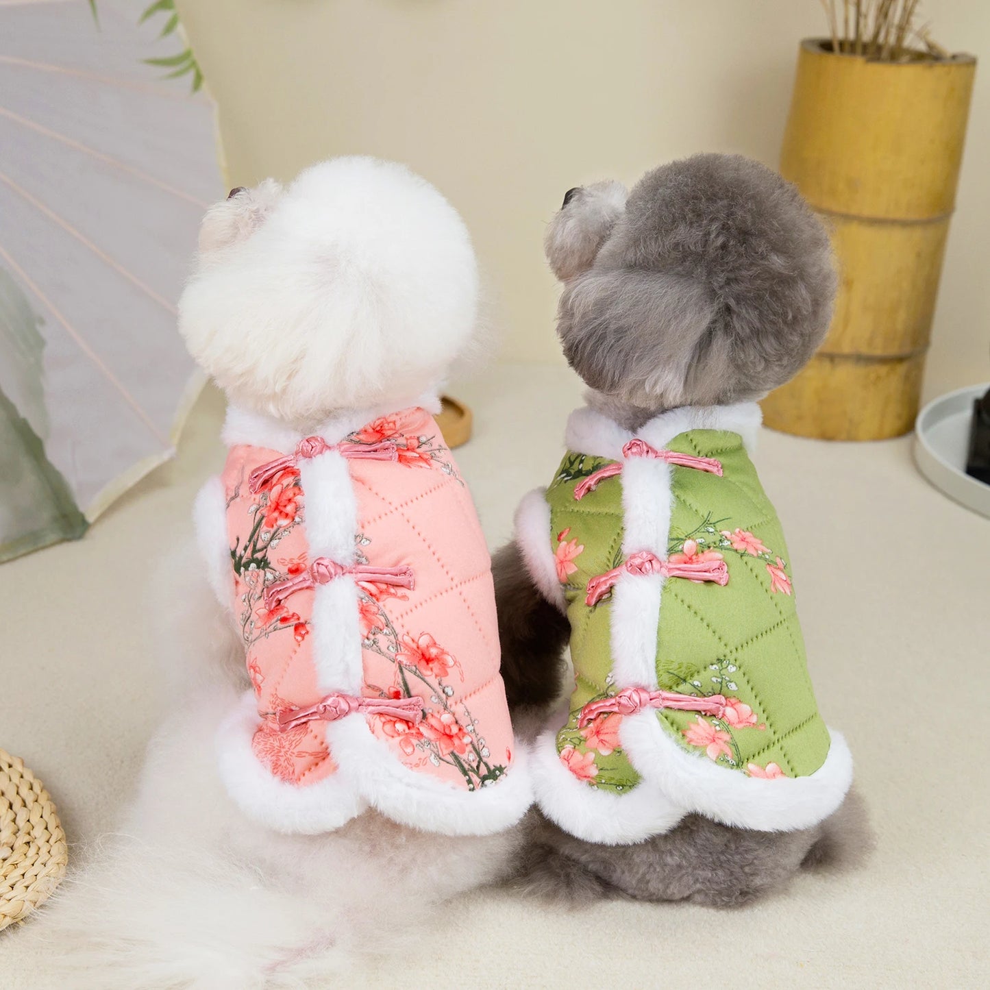 New Year Chinese Pet Dog Tang Suit