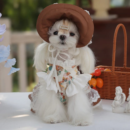 Lace Dress Pet Dress Cute Hat Set Coat