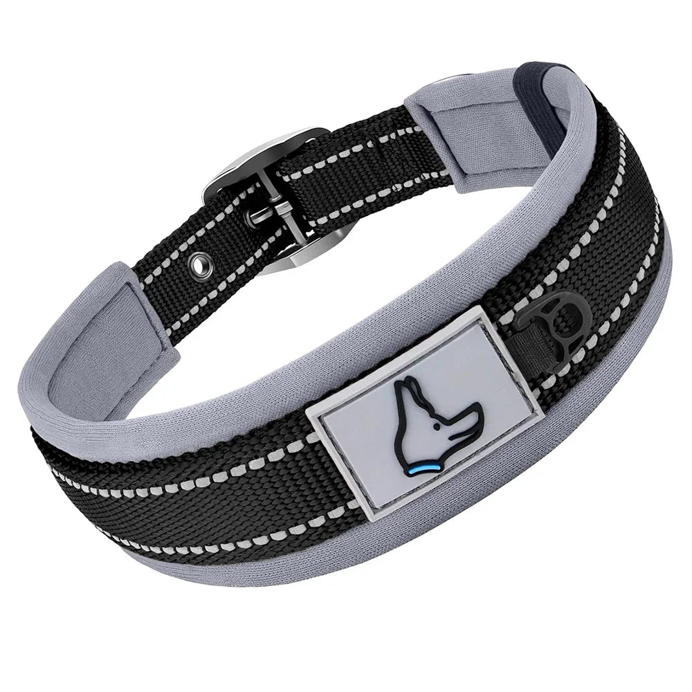Padded Dog Collars, small Medium large, Reflective