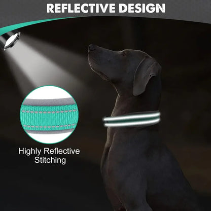 Padded Dog Collars, small Medium large, Reflective