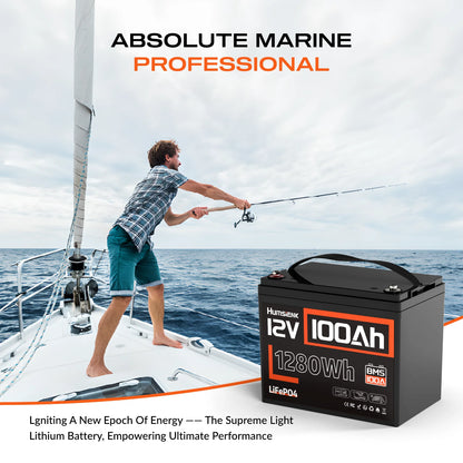 Lithium Battery For RV/ Vans/ Trolling Motor