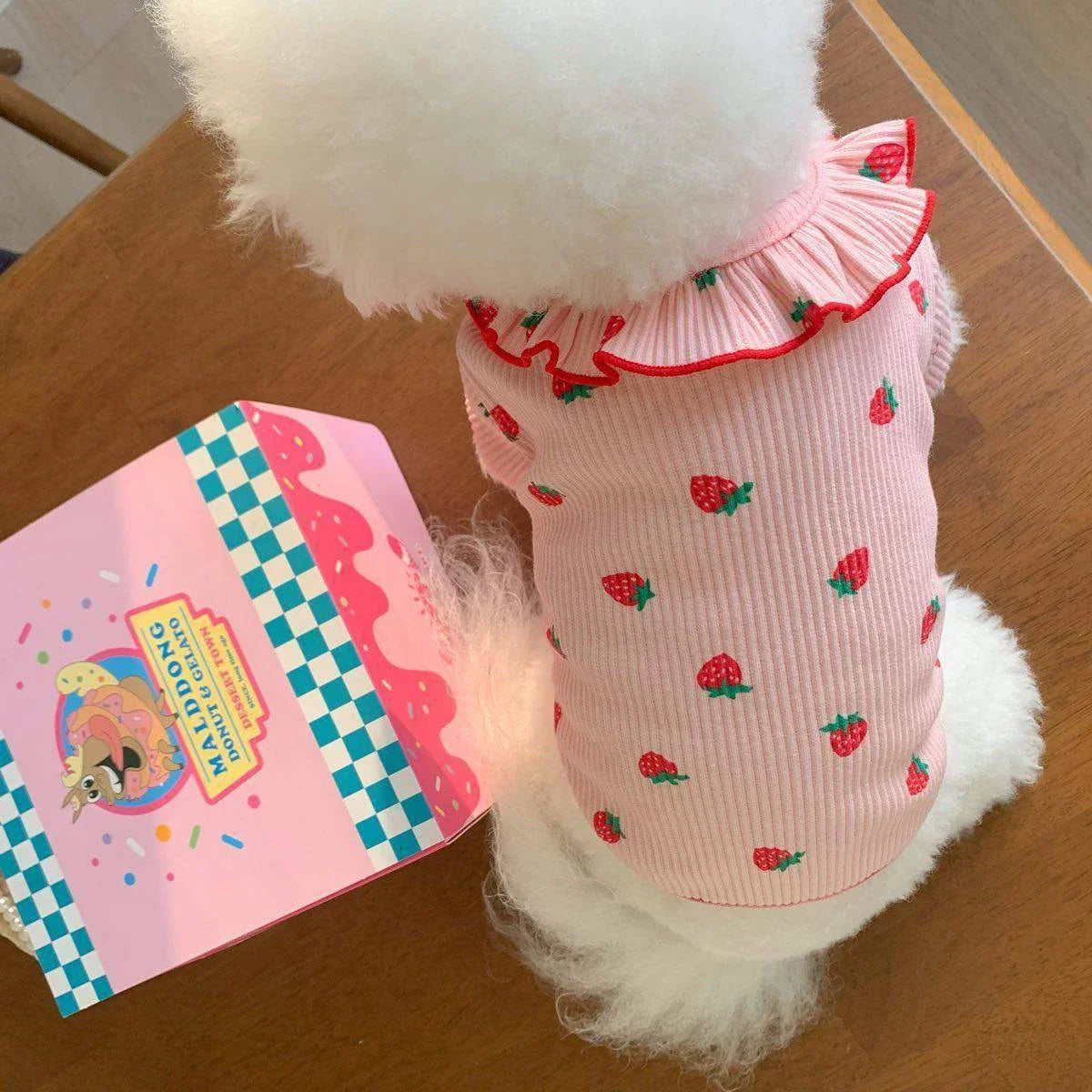 Summer Breathable Pet Clothing for Cat Cute Dog