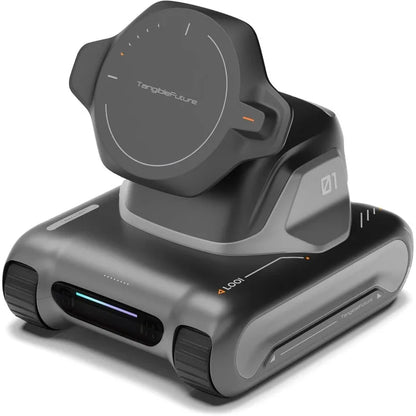 AI Desktop Companion, Voice Interaction, Memory, Personality