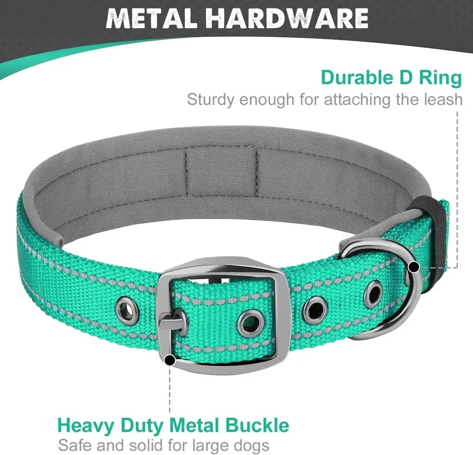 Padded Dog Collars, small Medium large, Reflective