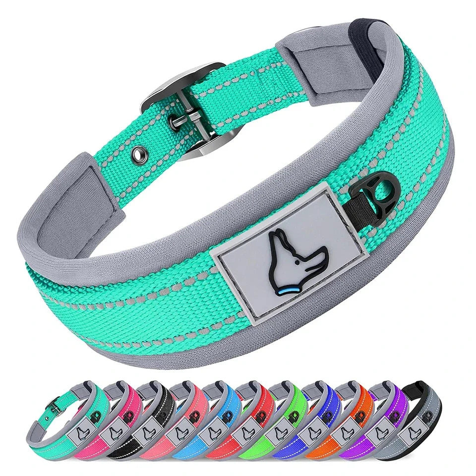 Padded Dog Collars, small Medium large, Reflective