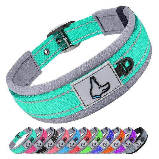 Padded Dog Collars, small Medium large, Reflective
