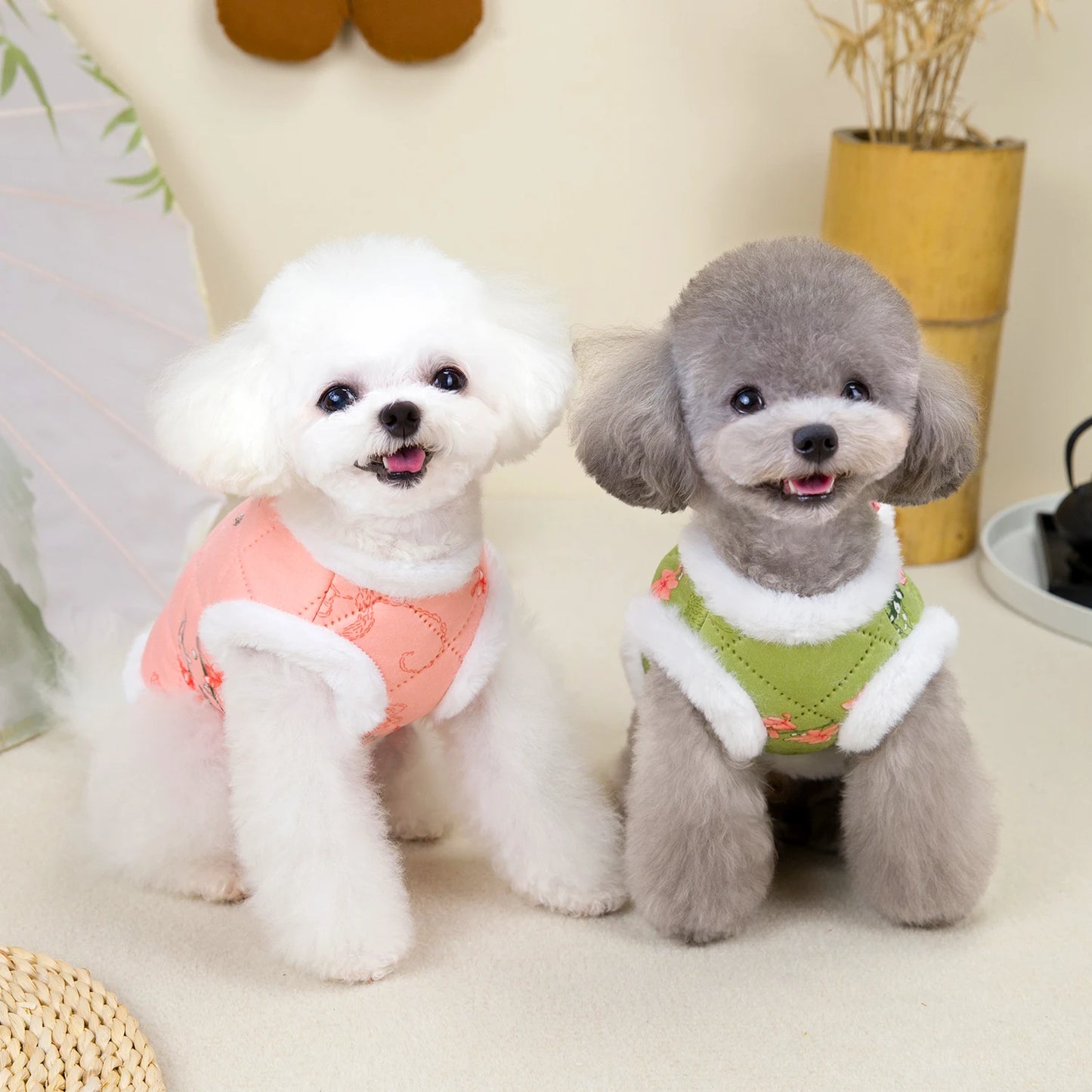 New Year Chinese Pet Dog Tang Suit