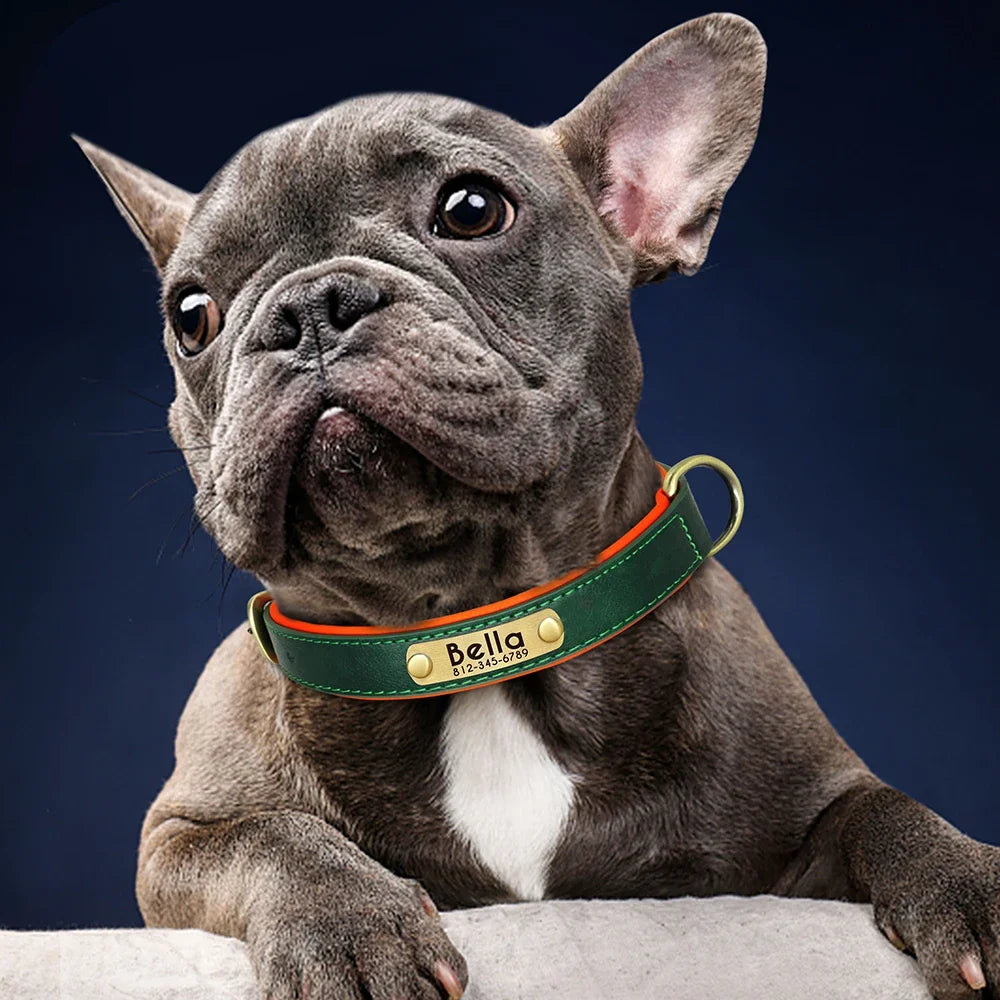 Customized Leather Nameplate Dog Collar Free Engraving Name