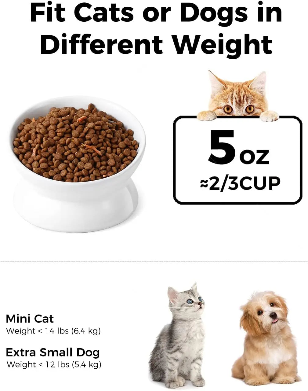 Elevated Cat Bowl, 5 Oz Ceramic Raise