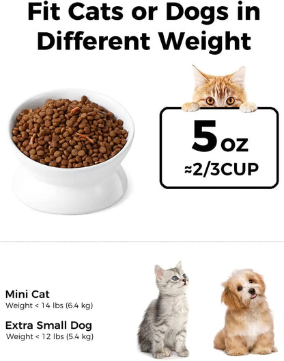 Elevated Cat Bowl, 5 Oz Ceramic Raise