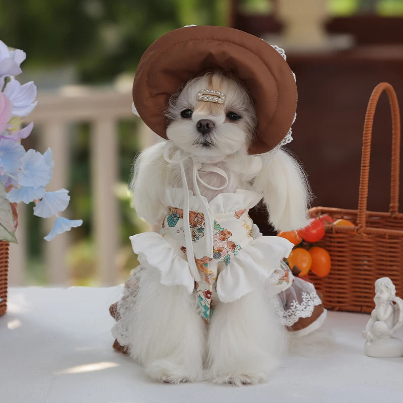 Lace Dress Pet Dress Cute Hat Set Coat
