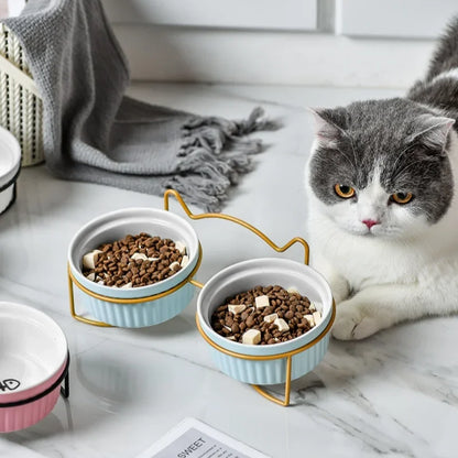 Single Or Double Tilt Bowl Ceramic for Pets