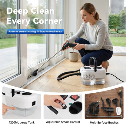 2500W High Temperature Steam Cleaner Portable Handheld