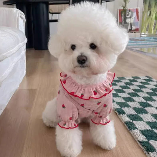 Summer Breathable Pet Clothing for Cat Cute Dog