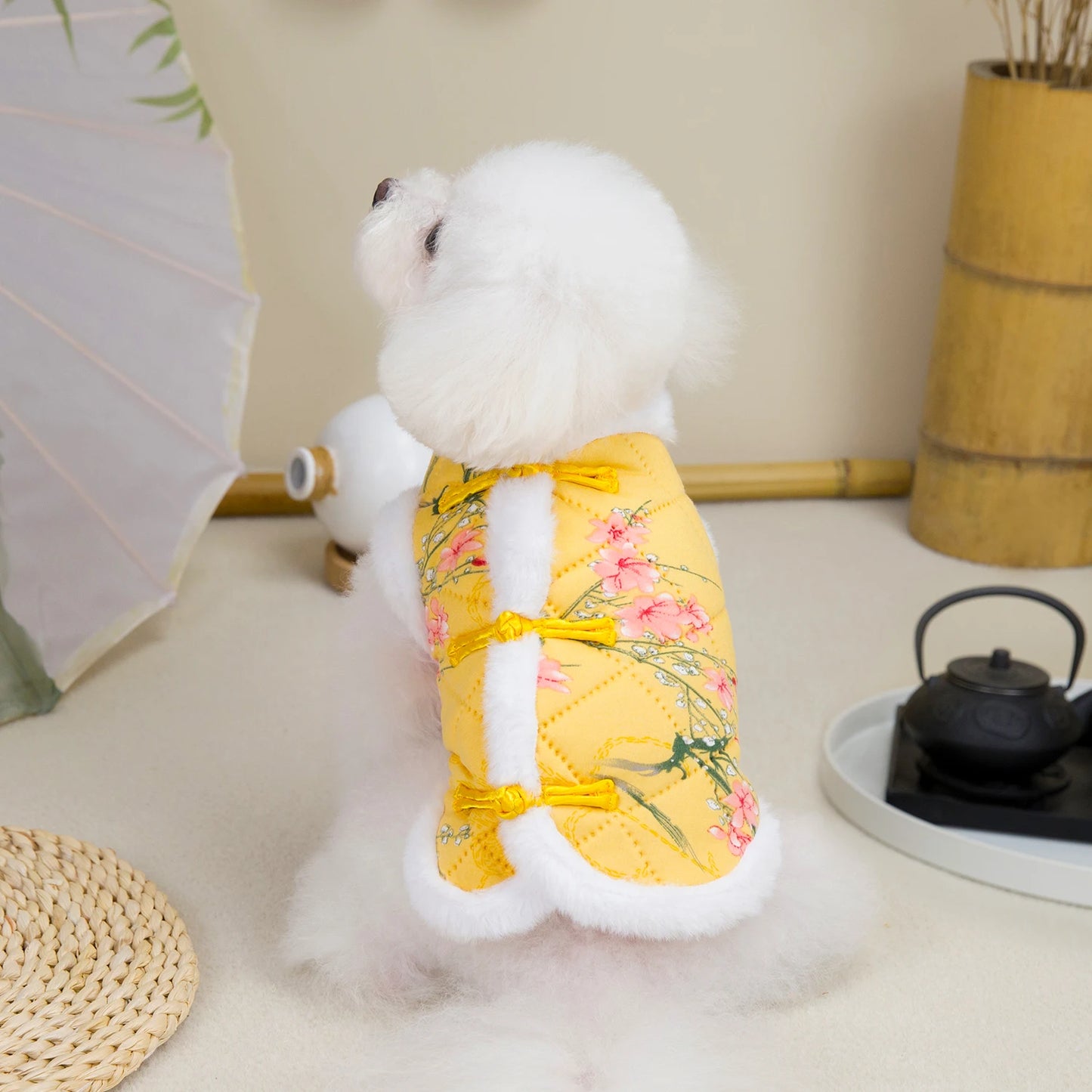 New Year Chinese Pet Dog Tang Suit