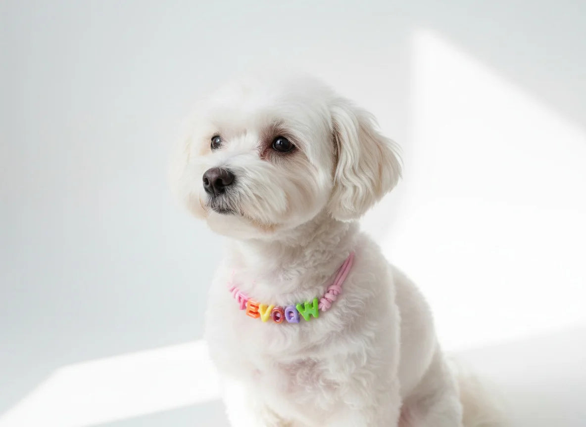 Customized Pet Name Necklace