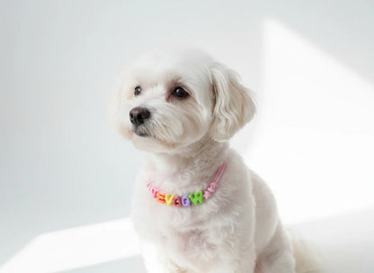 Customized Pet Name Necklace