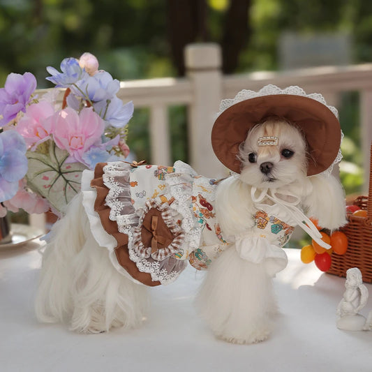 Lace Dress Pet Dress Cute Hat Set Coat