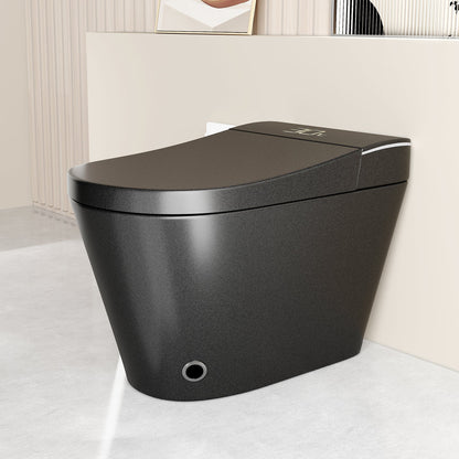 Unique Smart Toile with Built-In Bidet and Intelligent Features